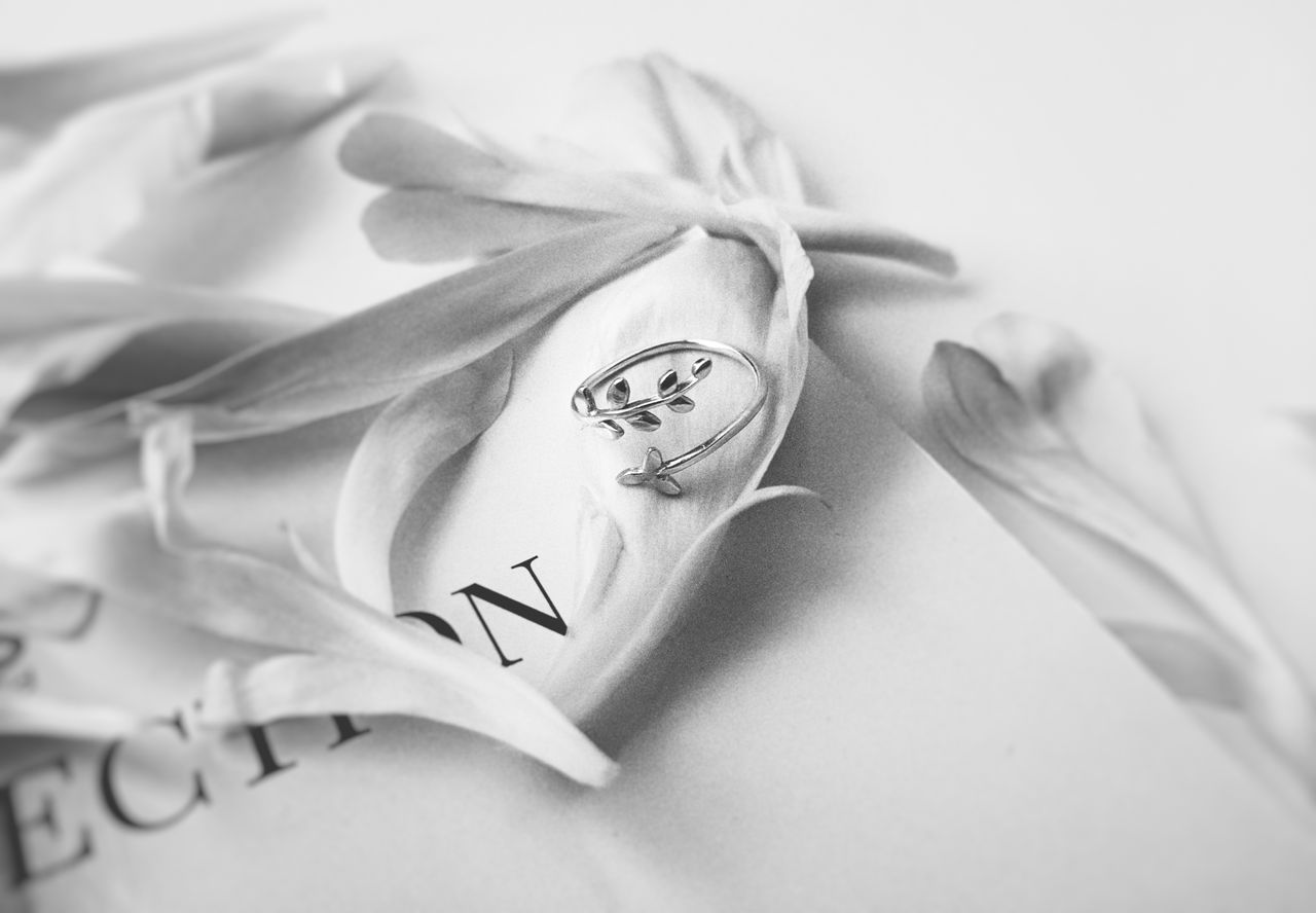 Elegant silver ring amid delicate petals on a monochrome background, showcasing minimalistic jewelry style.